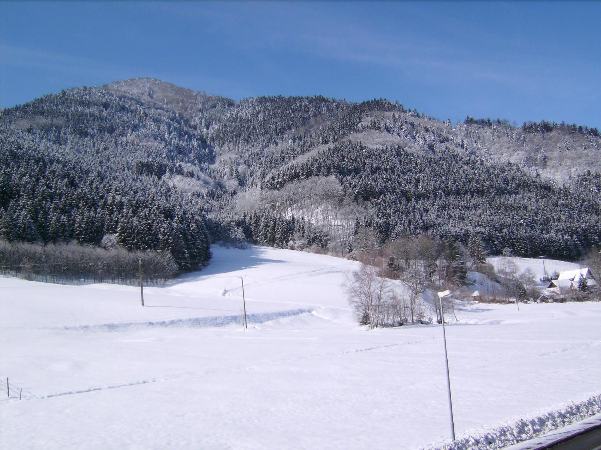 Zur Erle Guest house Simonswald