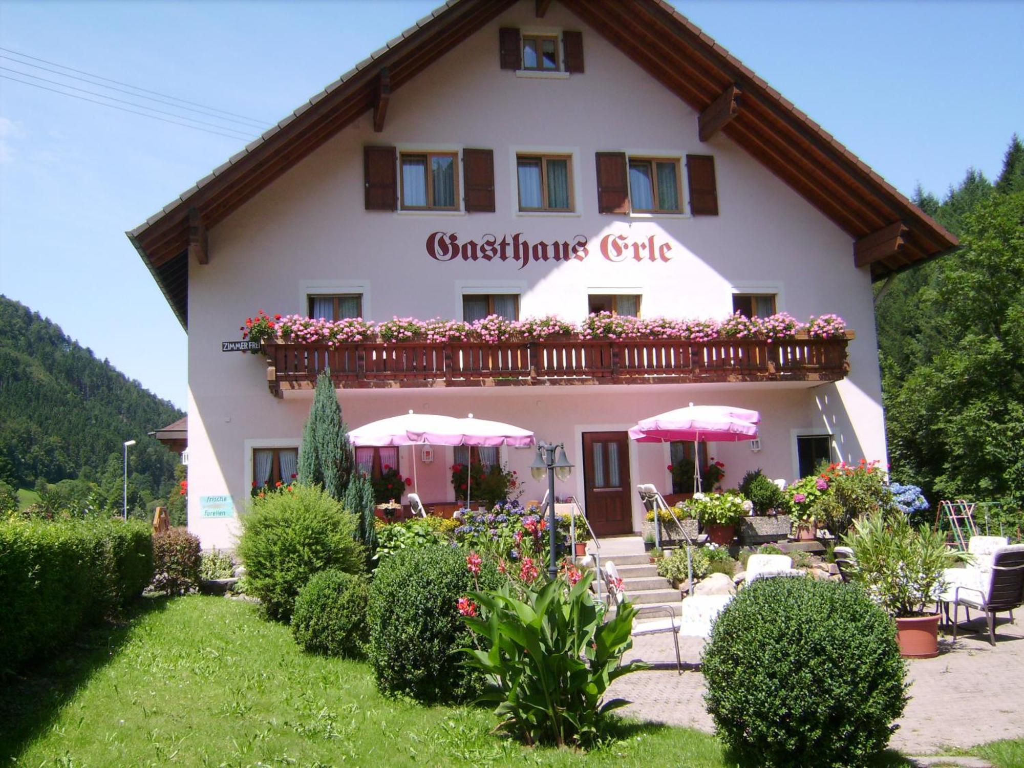 Gasthaus Zur Erle Pensión 2*